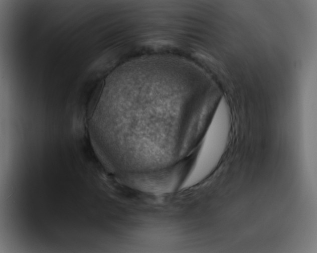 X0000092071014200710031114