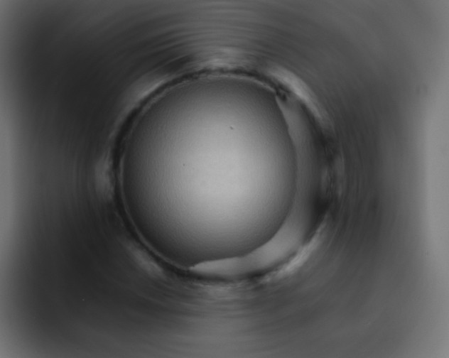 X0000092071018200710031114