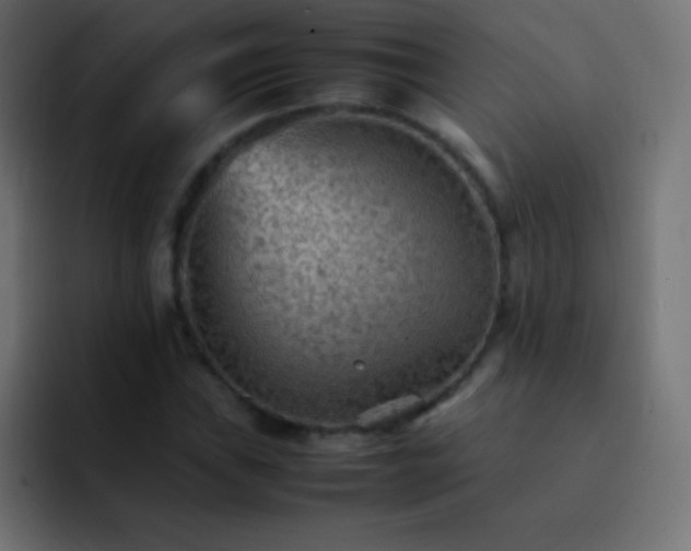 X0000092071019200710031114