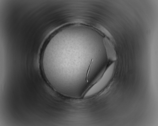 X0000092071020200710031114