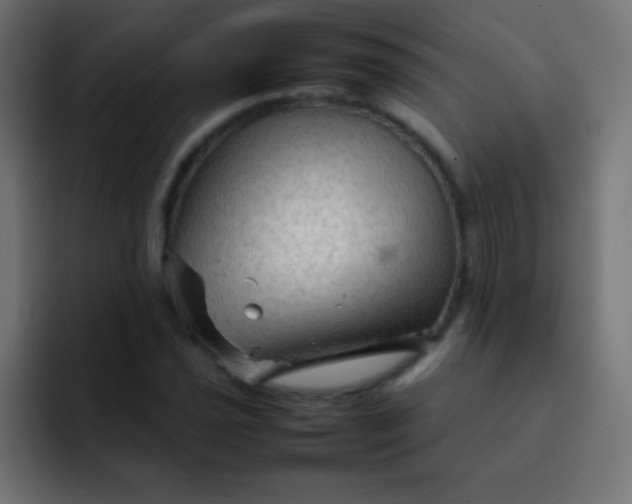 X0000092071021200710031115
