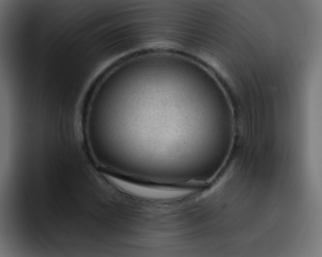X0000092071022200710031115
