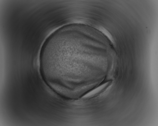 X0000092071028200710031115