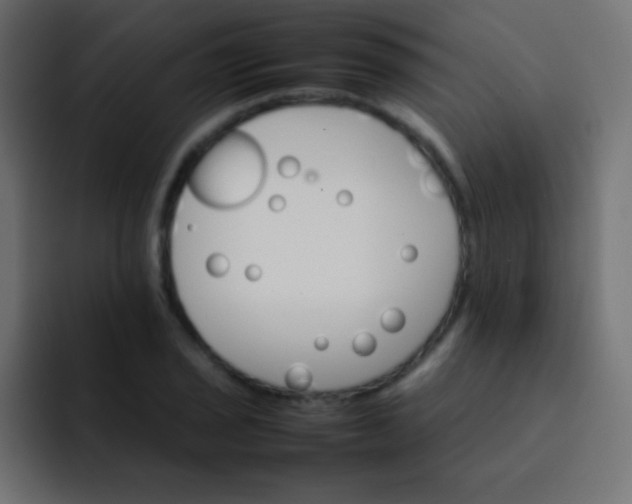 X0000092071029200710031115
