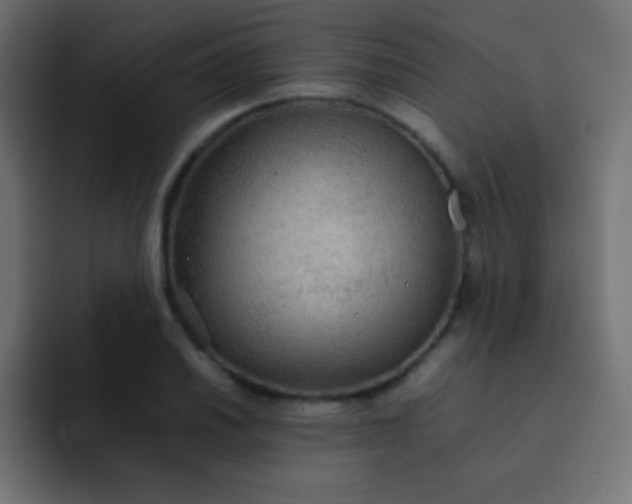 X0000092071030200710031115