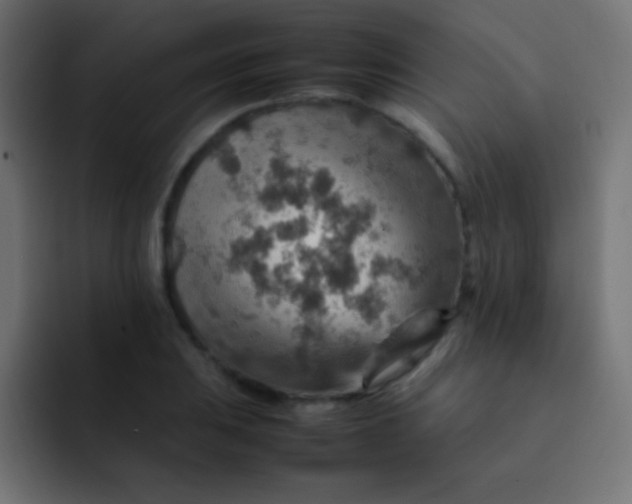 X0000092071031200710031115