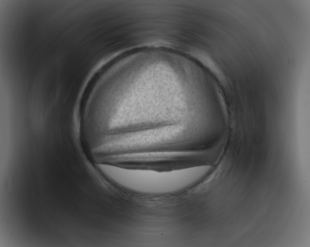 X0000092071032200710031115