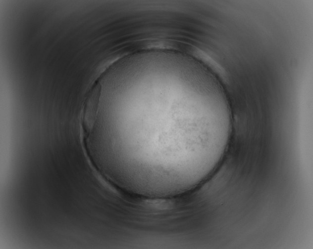 X0000092071033200710031115