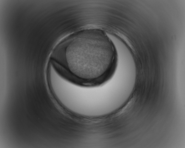 X0000092071034200710031115