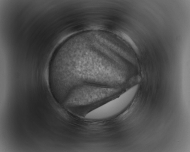 X0000092071035200710031115