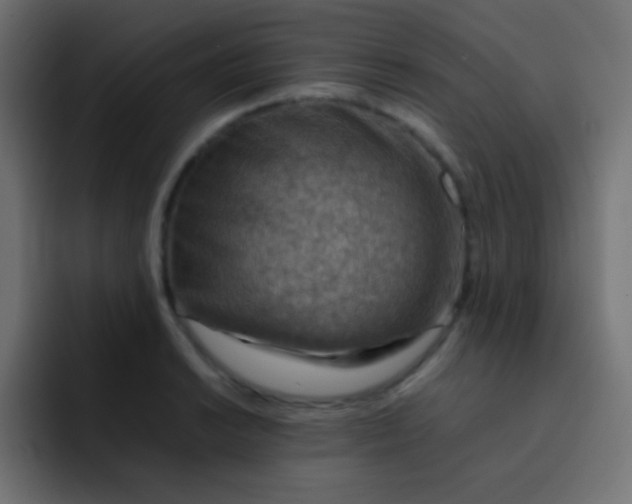 X0000092071038200710031115