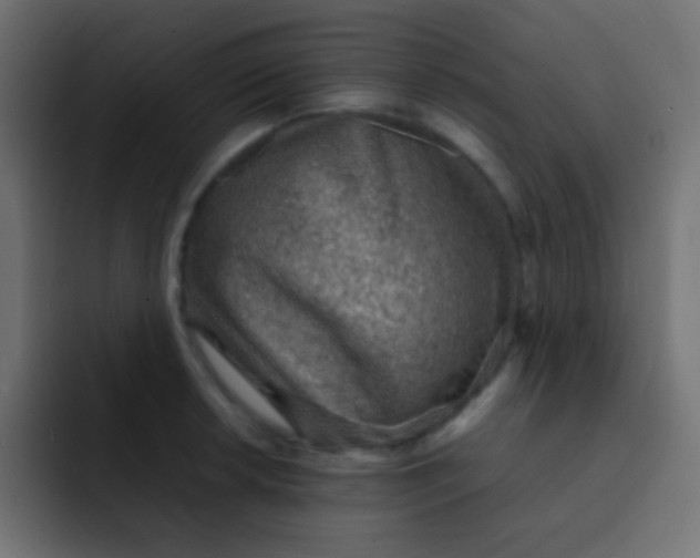 X0000092071042200710031115