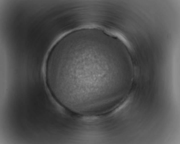 X0000092071046200710031115