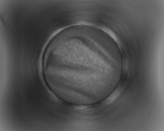 X0000092071048200710031115