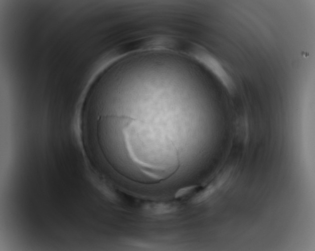 X0000092071051200710031115