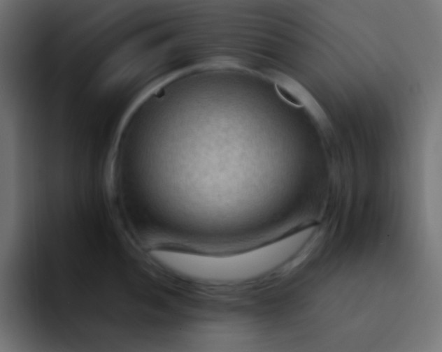 X0000092071052200710031115