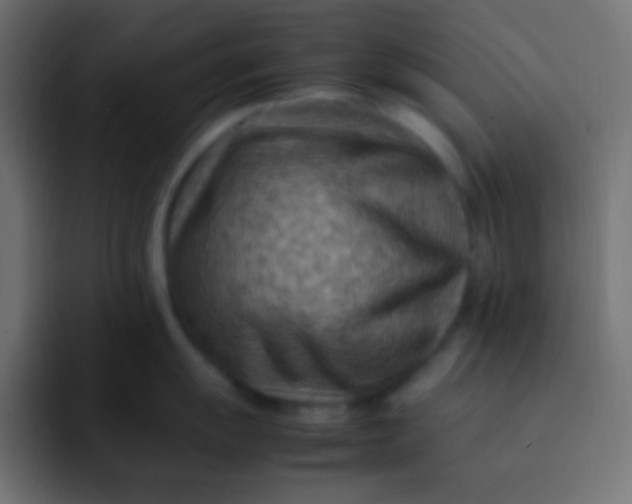 X0000092071055200710031115
