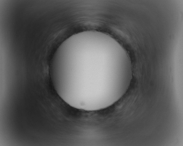 X0000092071061200710031114