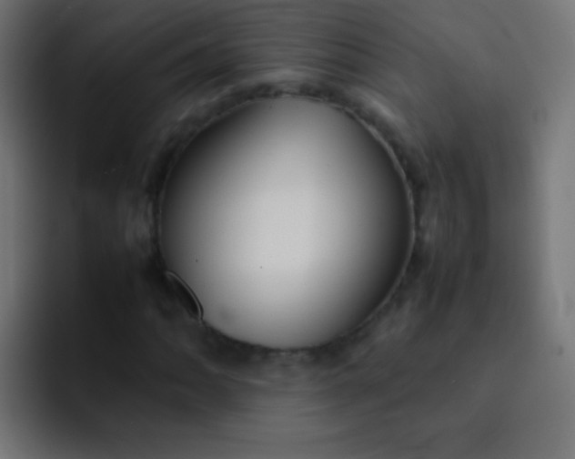 X0000092071062200710031114