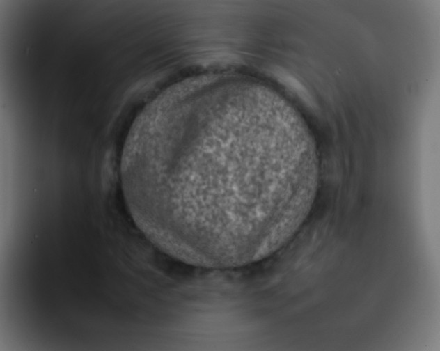 X0000092071063200710031114