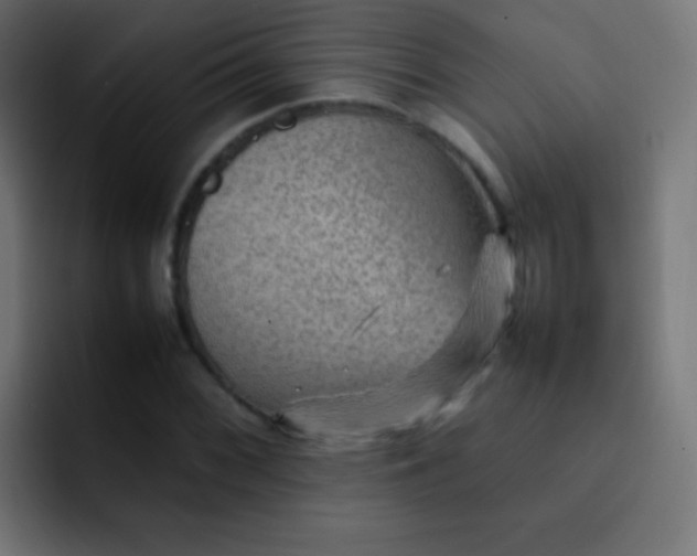 X0000092071068200710031114