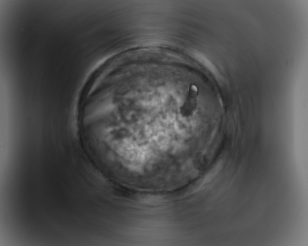 X0000092071071200710031114