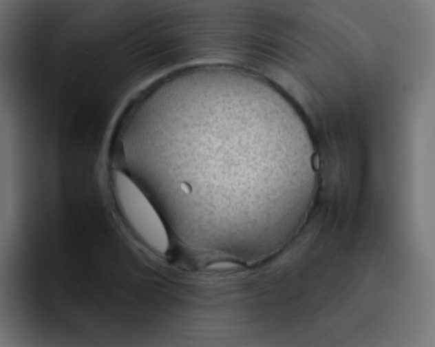 X0000092071072200710031114