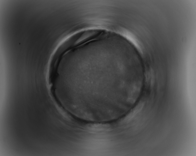 X0000092071077200710031114