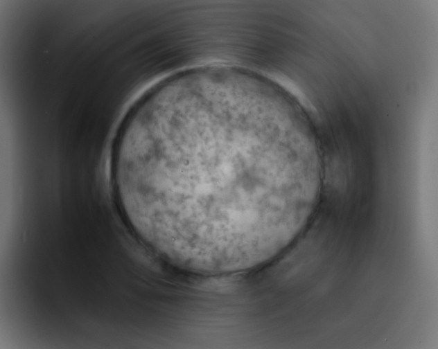 X0000092071078200710031114