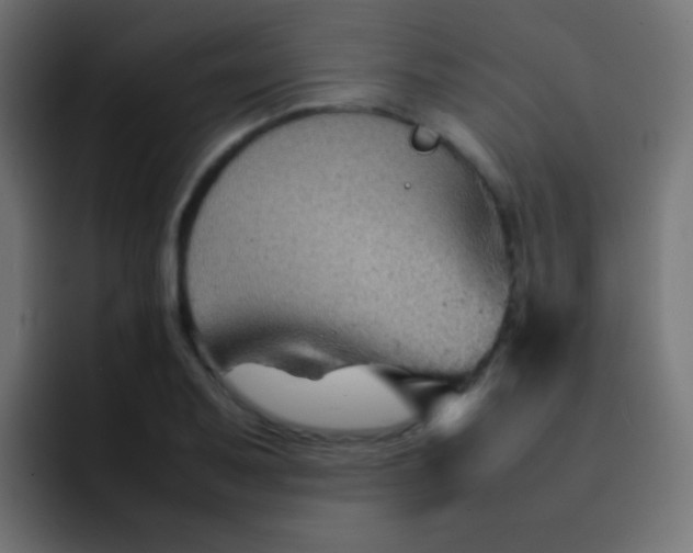 X0000092071079200710031114