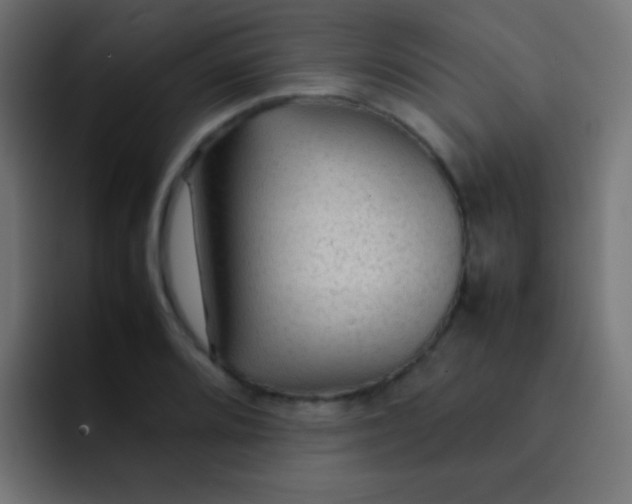 X0000092071080200710031114