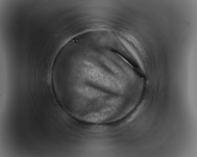 X0000092071081200710031114