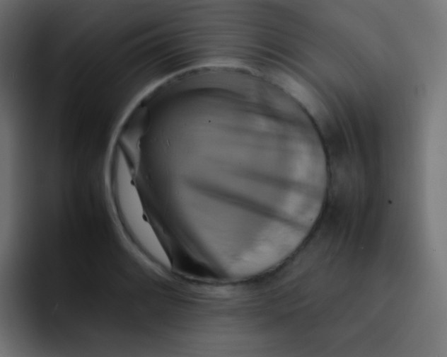 X0000092071084200710031114