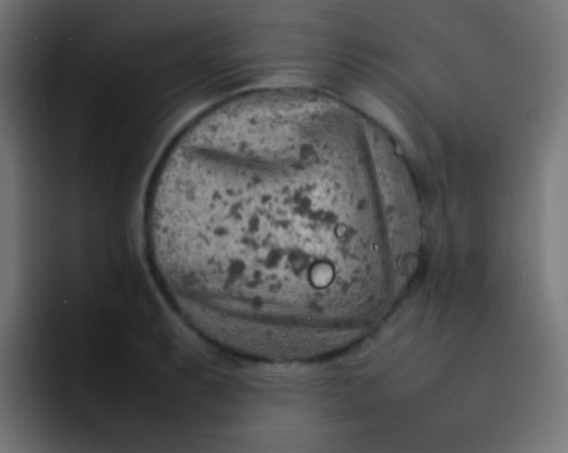 X0000092071087200710031114