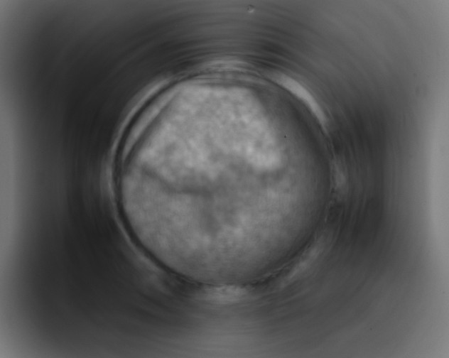 X0000092071090200710031114