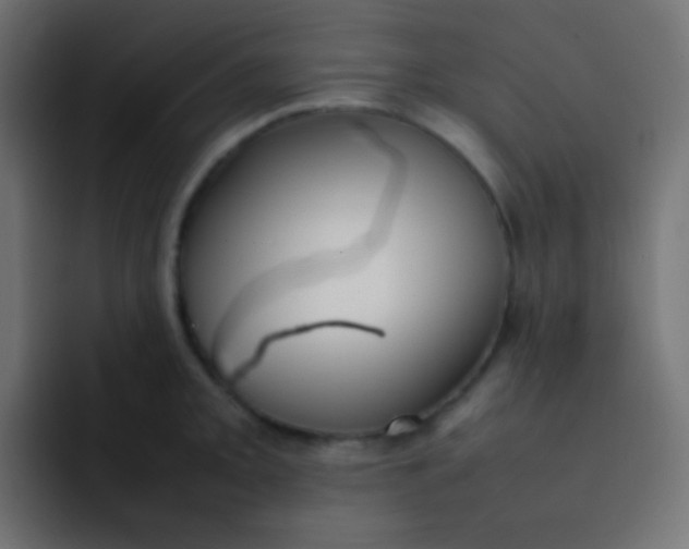 X0000092071093200710031114