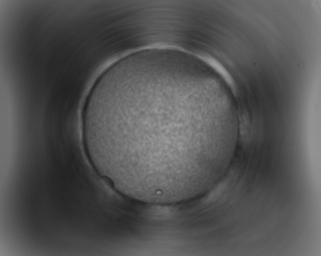 X0000092071096200710031114
