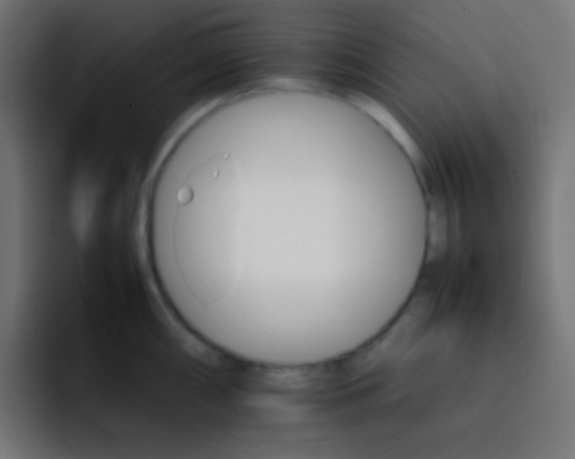 X0000092071098200710031114