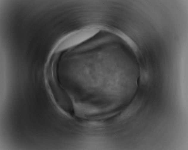 X0000092071102200710031114