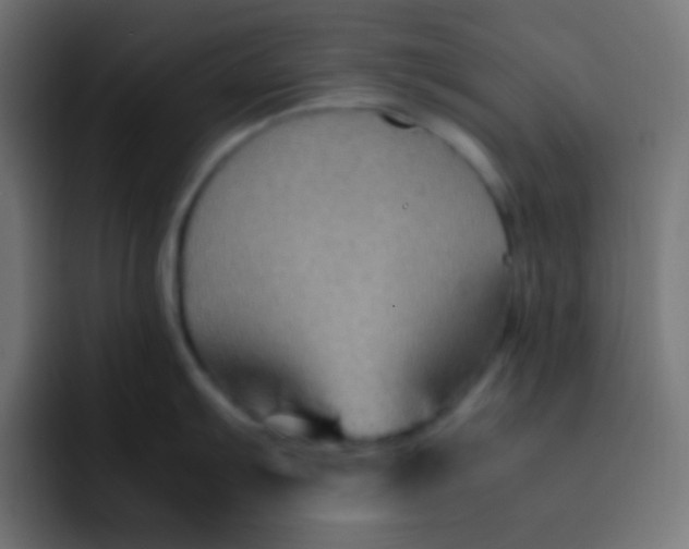 X0000092071103200710031114