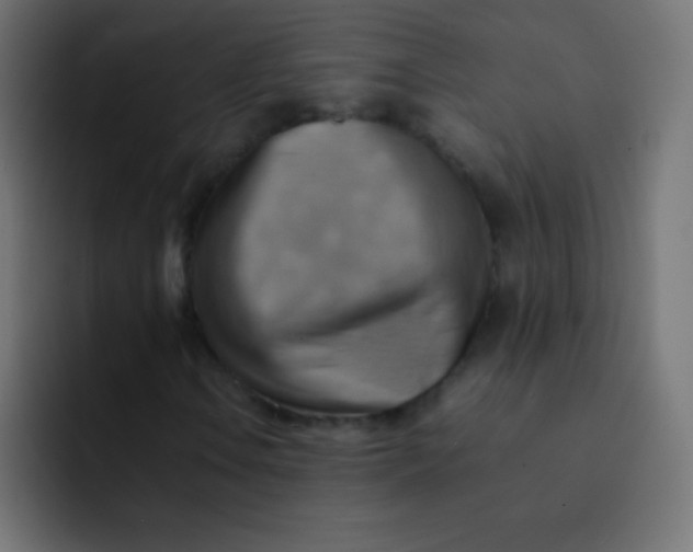 X0000092071106200710031113