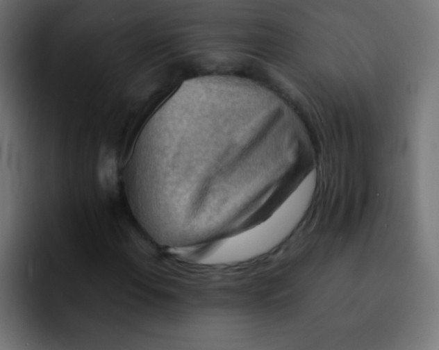 X0000092071108200710031113