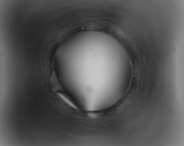 X0000092071109200710031113