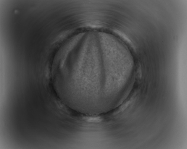 X0000092071110200710031113