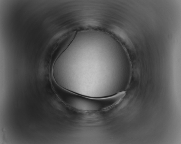 X0000092071112200710031113