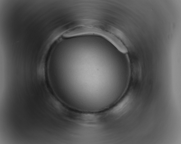 X0000092071114200710031113