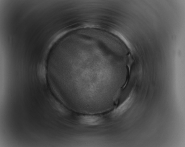 X0000092071115200710031113