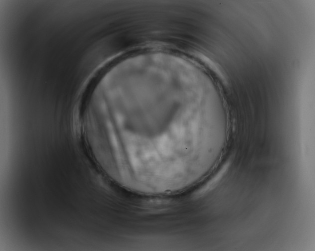 X0000092071117200710031113