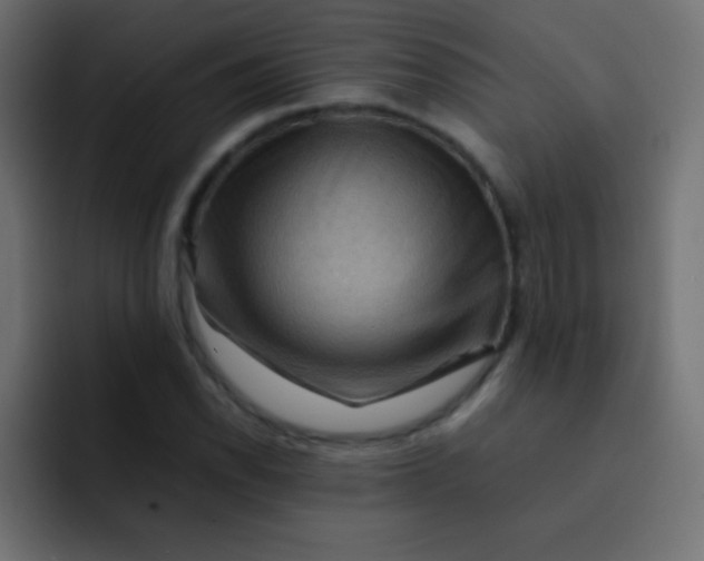 X0000092071118200710031113
