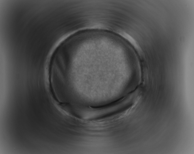 X0000092071120200710031113